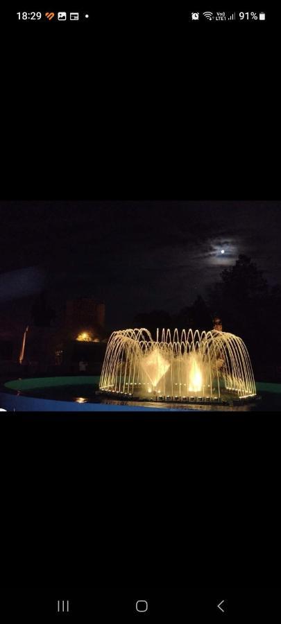 Casa Cojocaru Bed and Breakfast Turnu Măgurele Eksteriør billede